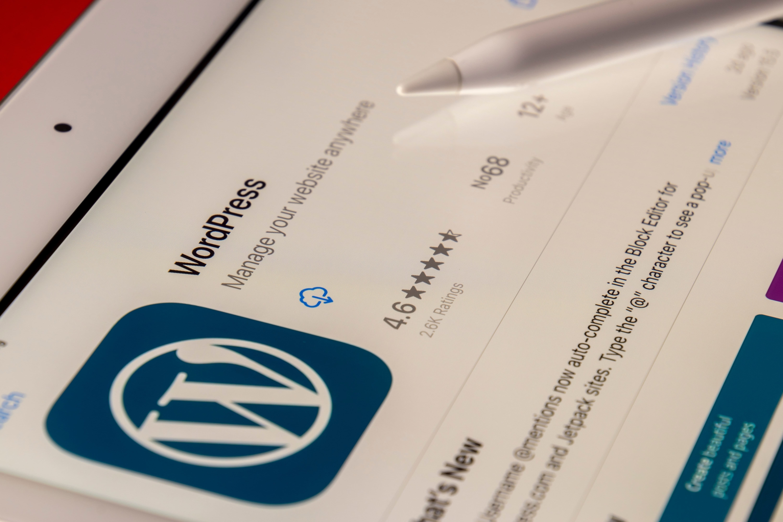 souvik-banerjee-WPrNEM_6dg-unsplash-1